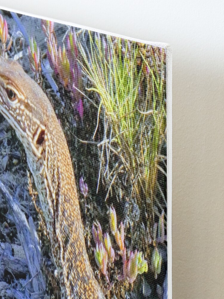 Alternate view of Perentie Australian Lizard Mounted Print