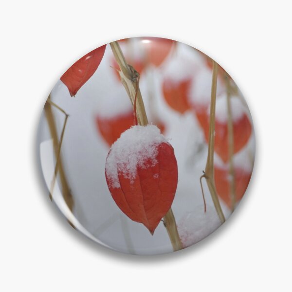 Item preview, red physalis  in winter designed and sold by mrivserg.