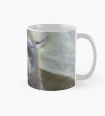 Seebär Tasse (Standard)