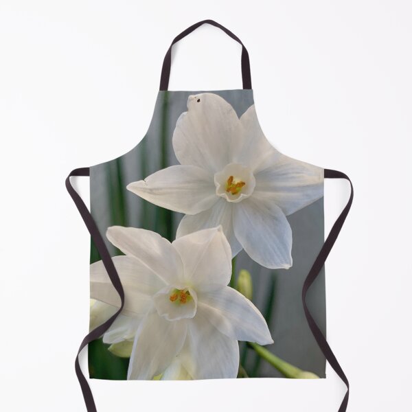 Item preview, First Paperwhites 2019 designed and sold by Douglas E. Welch Design and Photography.