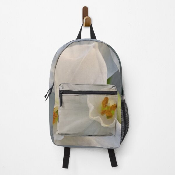 Item preview, First Paperwhites 2019 designed and sold by Douglas E. Welch Design and Photography.