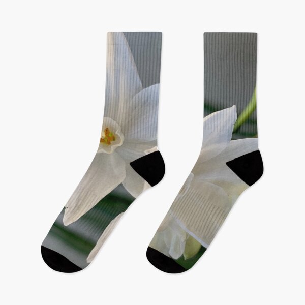 Item preview, First Paperwhites 2019 designed and sold by Douglas E. Welch Design and Photography.