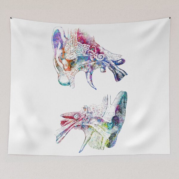 Item preview, Human Ear Anatomy designed and sold by EvasDreams.