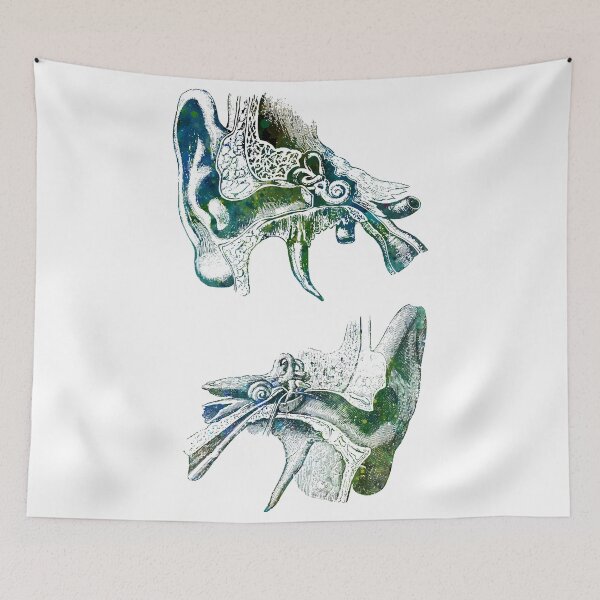 Item preview, Human Ear Anatomy designed and sold by EvasDreams.