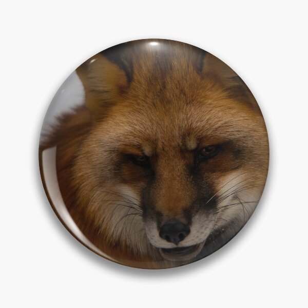 Item preview, Red Fox designed and sold by mrdarcyryan.