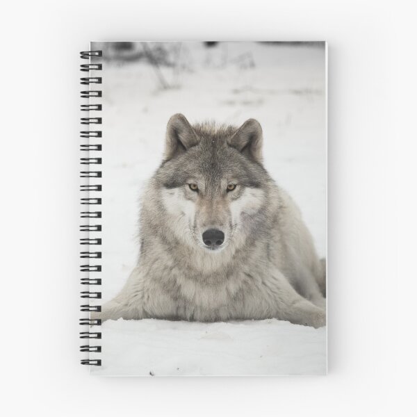Item preview, Colt the Grey designed and sold by mrdarcyryan.