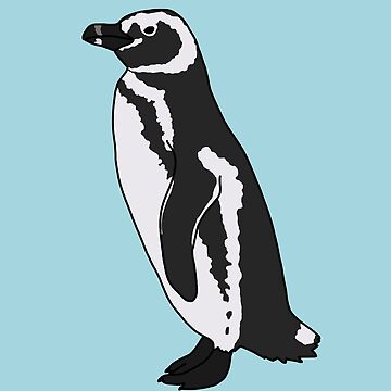 Artwork thumbnail, Magellanic Penguin by taylorrowan