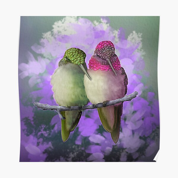 Póster «Colibríes» de JuncoPuff | Redbubble Póster «Colibríes» de JuncoPuff | Redbubble