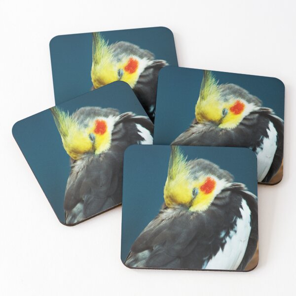 Item preview, Seattle Wildlife 1 designed and sold by rebeccaholbrook.