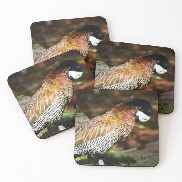 Item preview, Seattle Wildlife 2 designed and sold by rebeccaholbrook.