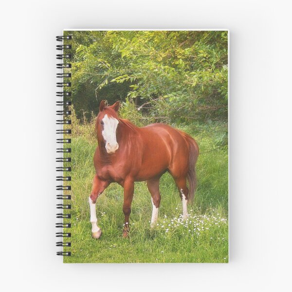Item preview, Horse on a Lovely Summer's Day designed and sold by Claude Johnson.