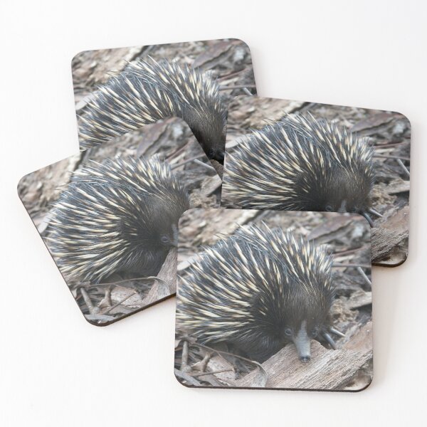 Item preview, Echidna designed and sold by Robert Elliott.