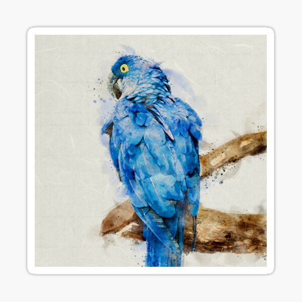 Blue Parrot Watercolor Sticker