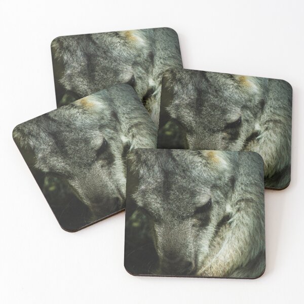 Item preview, Seattle Wildlife 6 designed and sold by rebeccaholbrook.