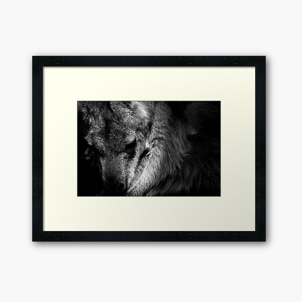 Seattle Wildlife 7 Framed Art Print