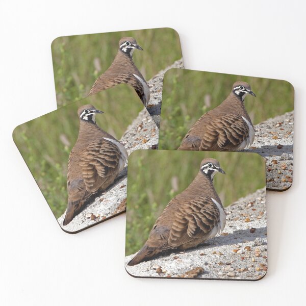 Item preview, Squatter Pigeon designed and sold by Robert Elliott.