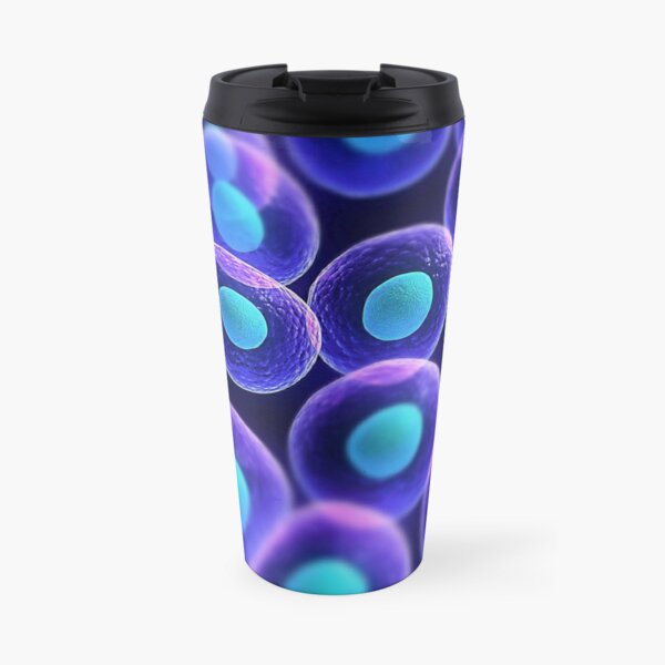Adult stem cells are thought to be the body&#39;s natural repair system. #FactualFriday #StemCells #HeartDisease Travel Mug