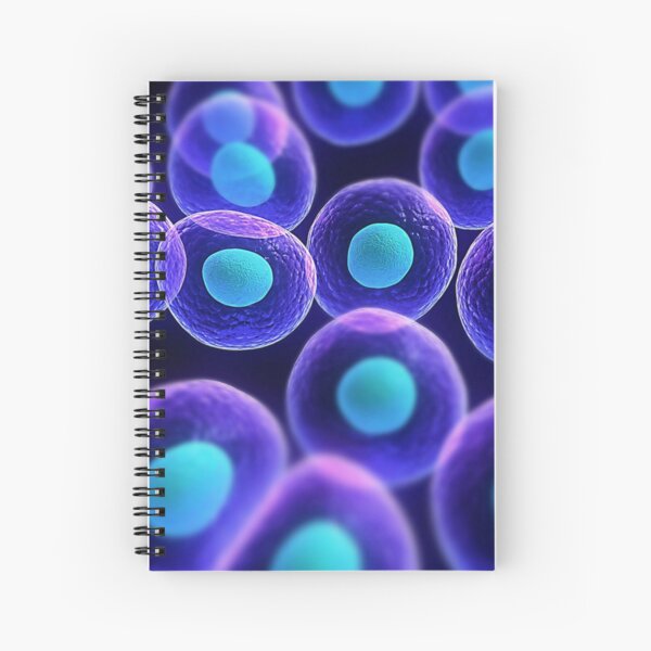 Adult stem cells are thought to be the body&#39;s natural repair system. #FactualFriday #StemCells #HeartDisease Spiral Notebook