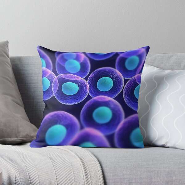 Adult stem cells are thought to be the body&#39;s natural repair system. #FactualFriday #StemCells #HeartDisease Throw Pillow