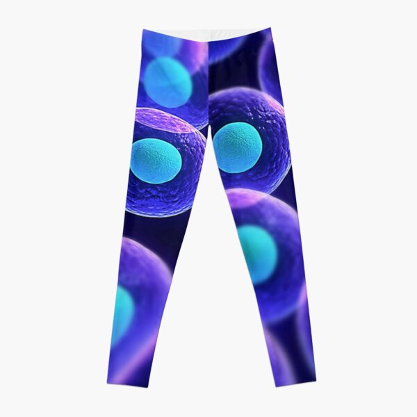 Adult stem cells are thought to be the body&#39;s natural repair system. #FactualFriday #StemCells #HeartDisease Leggings