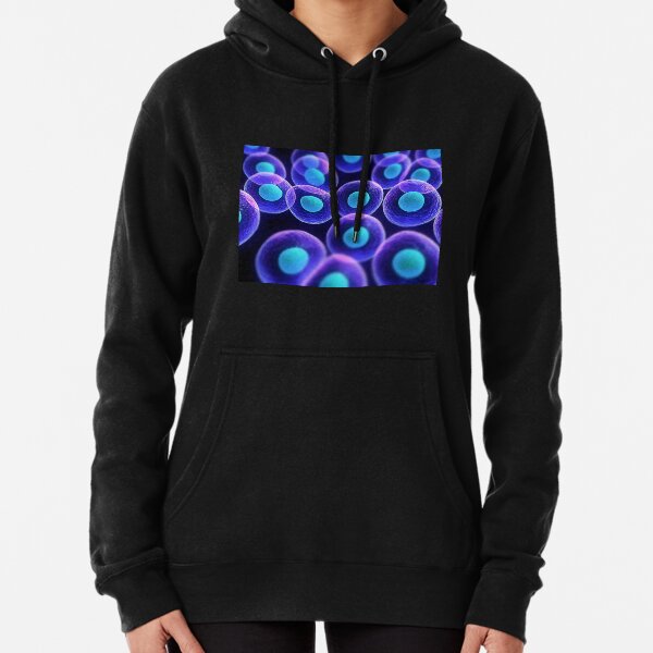 Adult stem cells are thought to be the body&#39;s natural repair system. #FactualFriday #StemCells #HeartDisease Pullover Hoodie
