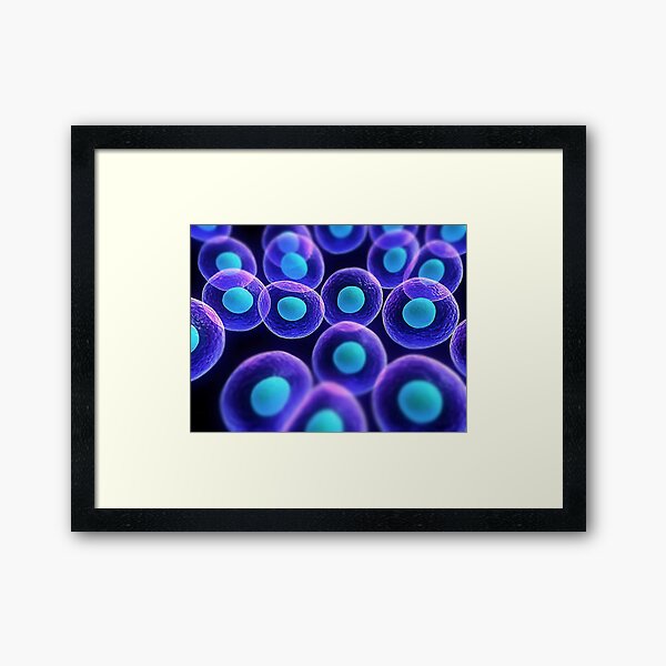 Adult stem cells are thought to be the body&#39;s natural repair system. #FactualFriday #StemCells #HeartDisease Framed Art Print