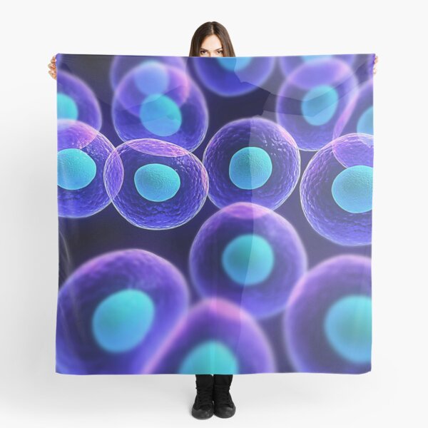 Adult stem cells are thought to be the body&#39;s natural repair system. #FactualFriday #StemCells #HeartDisease Scarf