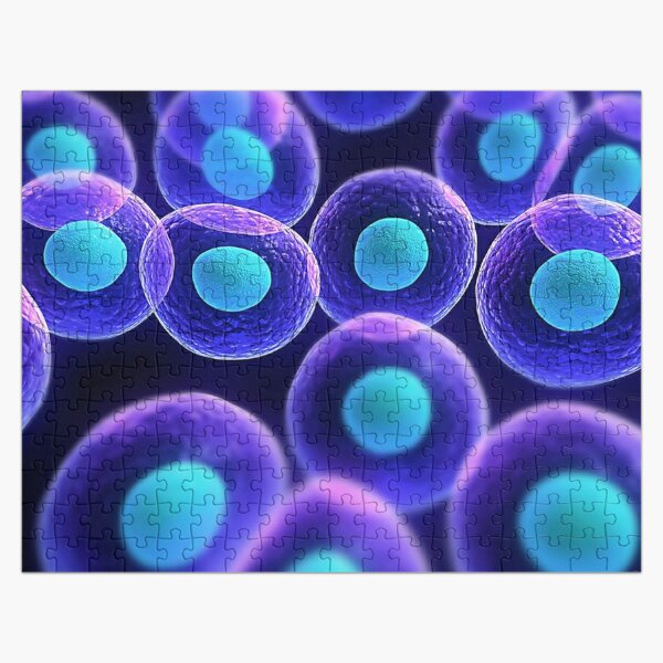 Adult stem cells are thought to be the body&#39;s natural repair system. #FactualFriday #StemCells #HeartDisease Jigsaw Puzzle