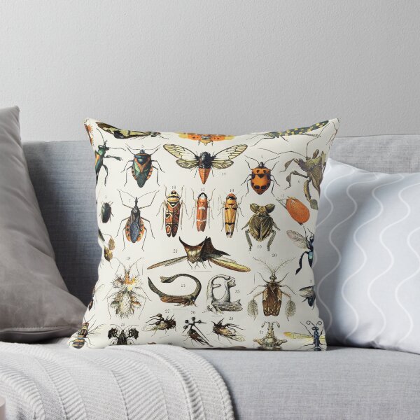 Artikel-Vorschau von Witchy Vintage Bug Poster I., designt und verkauft von Aimee McCurdy.