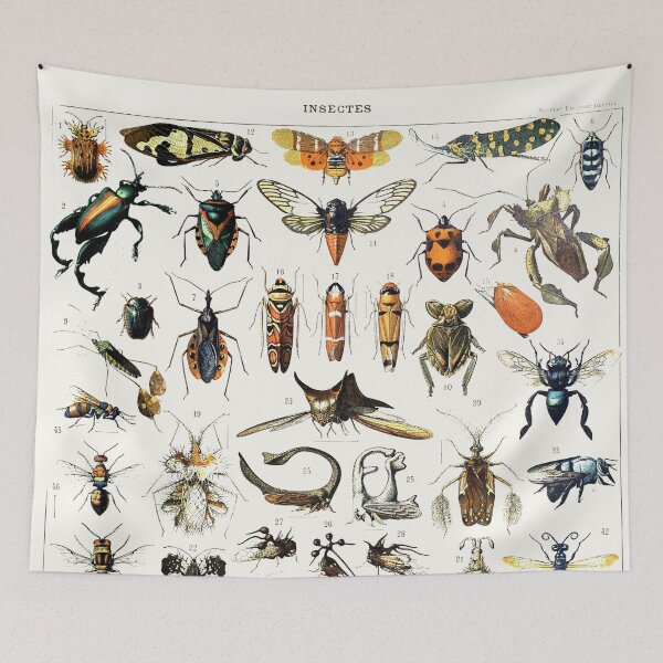 Item preview, Witchy Vintage Bug Poster I designed and sold by Aimee McCurdy.