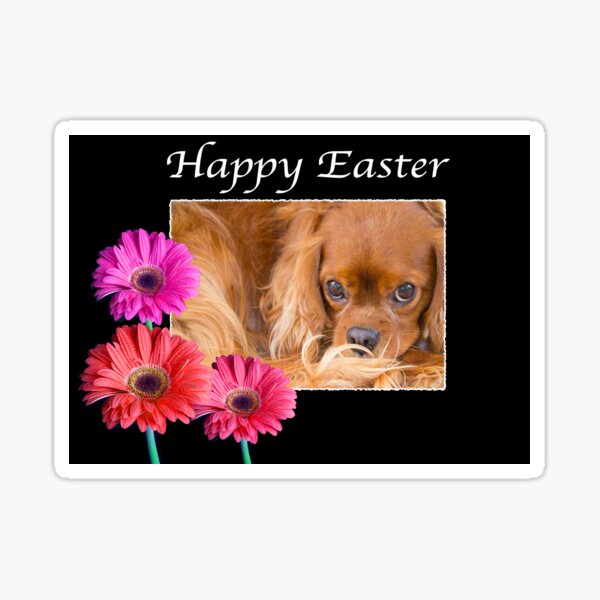 Item preview, Happy Easter Cavalier King Charles Daisies designed and sold by daphsam.