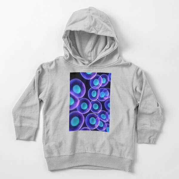 Adult stem cells are thought to be the body&#39;s natural repair system. #FactualFriday #StemCells #HeartDisease Toddler Pullover Hoodie