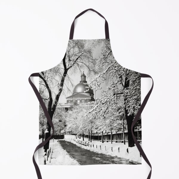Item preview, 1925 Massachusetts State House in Winter designed and sold by retrophotoworks.