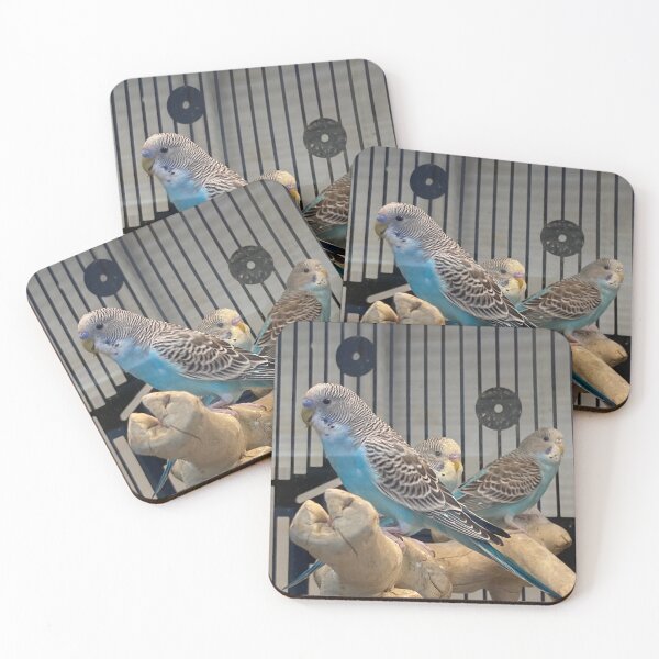Item preview, Blue Budgie Parakeets designed and sold by Taranodongirl7.