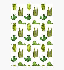 Cacti Photographic Print