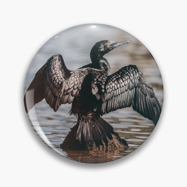 Item preview, Little Black Cormorant Drying its Wings designed and sold by Abbie Heuer.