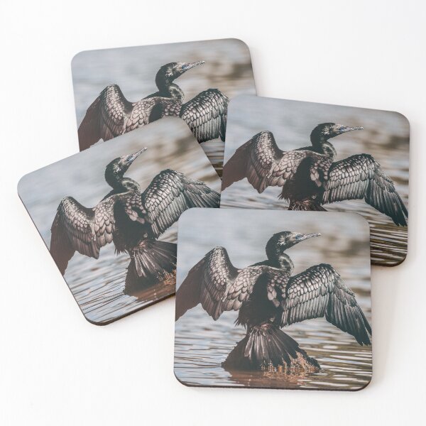 Item preview, Little Black Cormorant Drying its Wings designed and sold by Abbie Heuer.