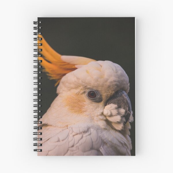 Item preview, Cockatoo in Profile designed and sold by Abbie Heuer.