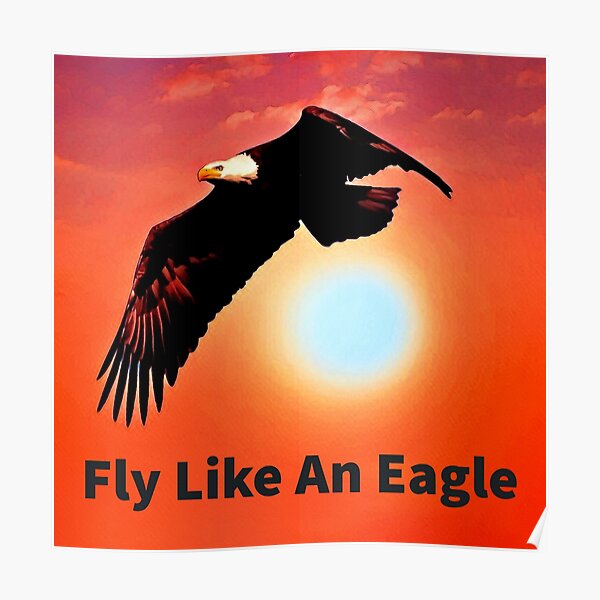 Pin by Angela P on Fly Eagles Fly!!!