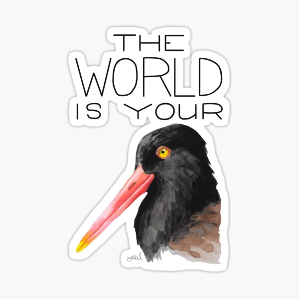 The World Is Your Oystercatcher (American Oystercatcher) Sticker