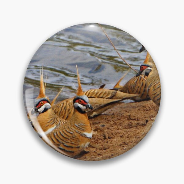 Item preview, Spinifex Pigeons designed and sold by Robert Elliott.