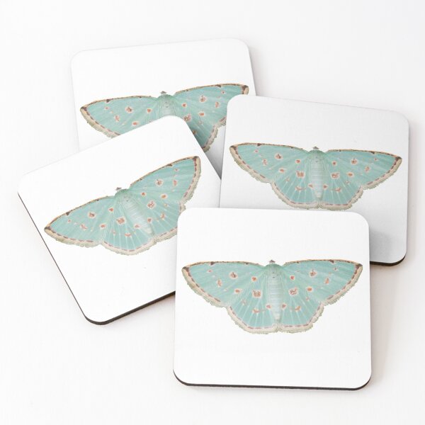 Item preview, transparent moth  designed and sold by cassbag.