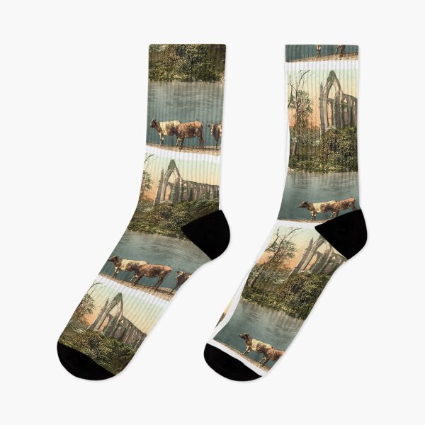 Item preview, [Abbey from the river, Bolton Abbey, England] designed and sold by ShopNewDesigns.
