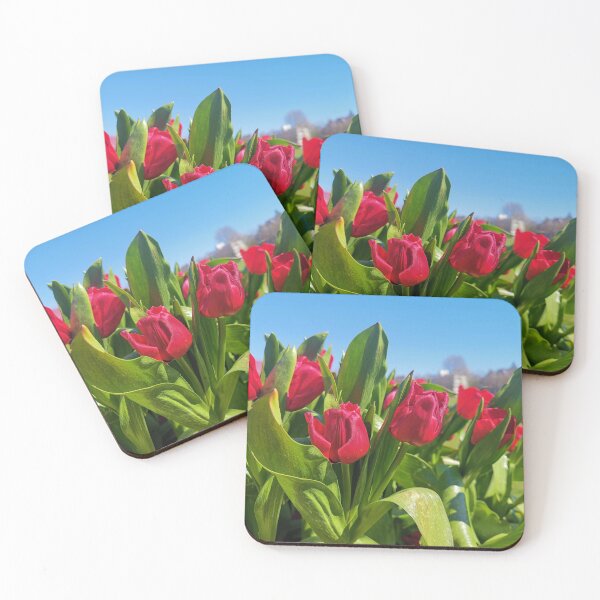 Item preview, Tulips in Amsterdam designed and sold by photobymich.