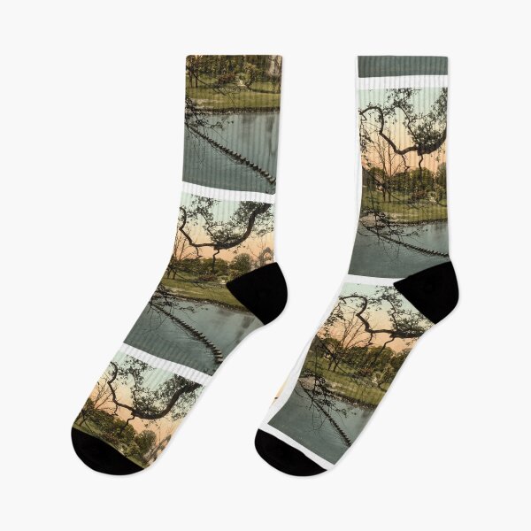 Item preview, [Abbey stepping stones, I, Bolton Abbey, England] designed and sold by ShopNewDesigns.