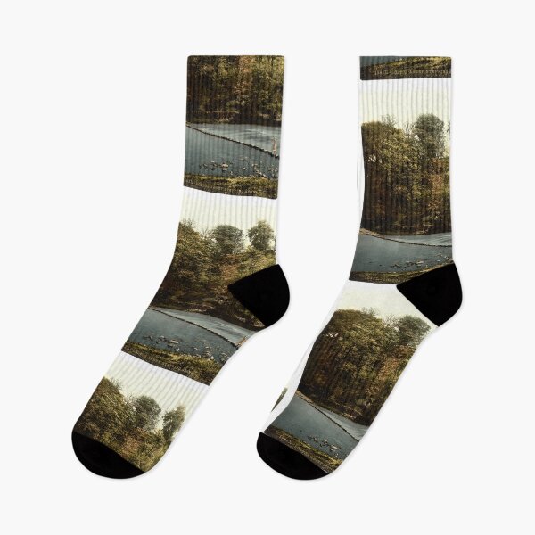 Item preview, [Abbey stepping stones, II, Bolton Abbey, England] designed and sold by ShopNewDesigns.