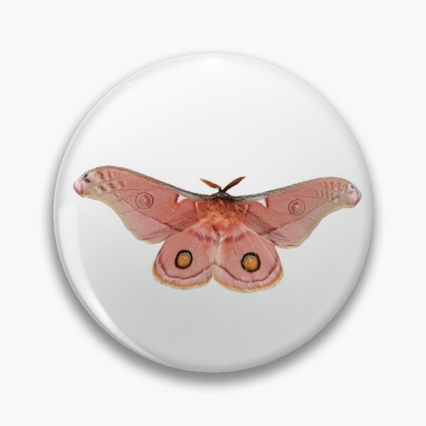 Item preview, pretty pink moth transparent designed and sold by cassbag.