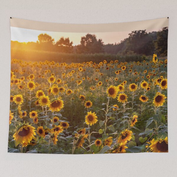 Item preview, Sunflower field with a setting sun designed and sold by Susan Sheldon.