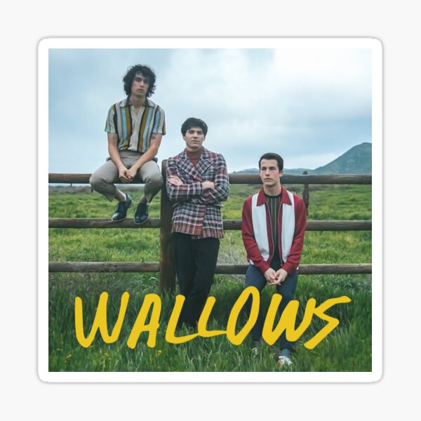 “Wallows Remember When " Sticker by VampireMan | Redbubble