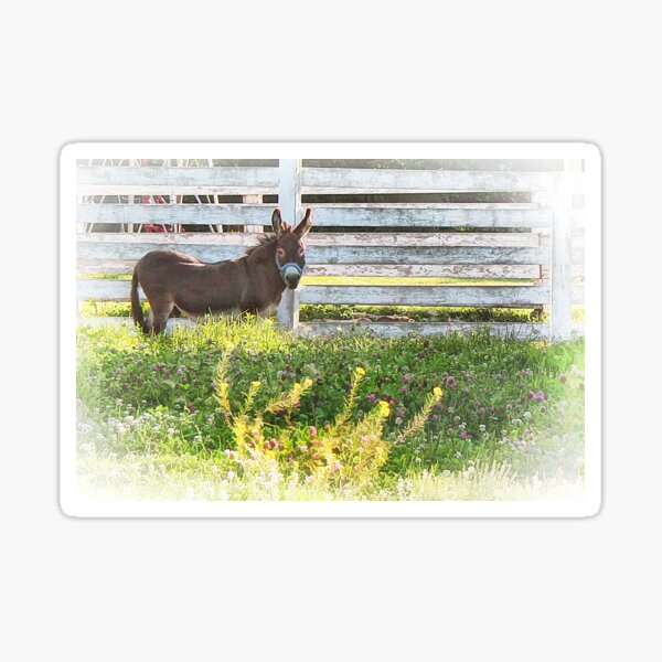 eeyore Sticker